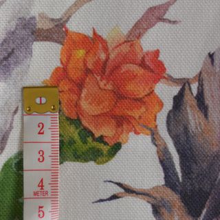 Cactus y flechas Cactus y flechas