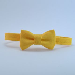 Pajarita amarilla para gato