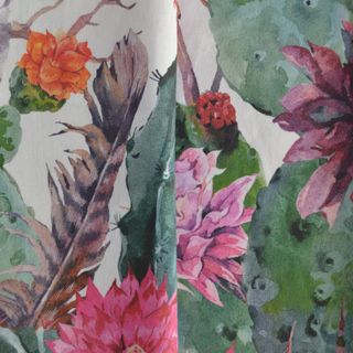 Cactus y flechas Cactus y flechas